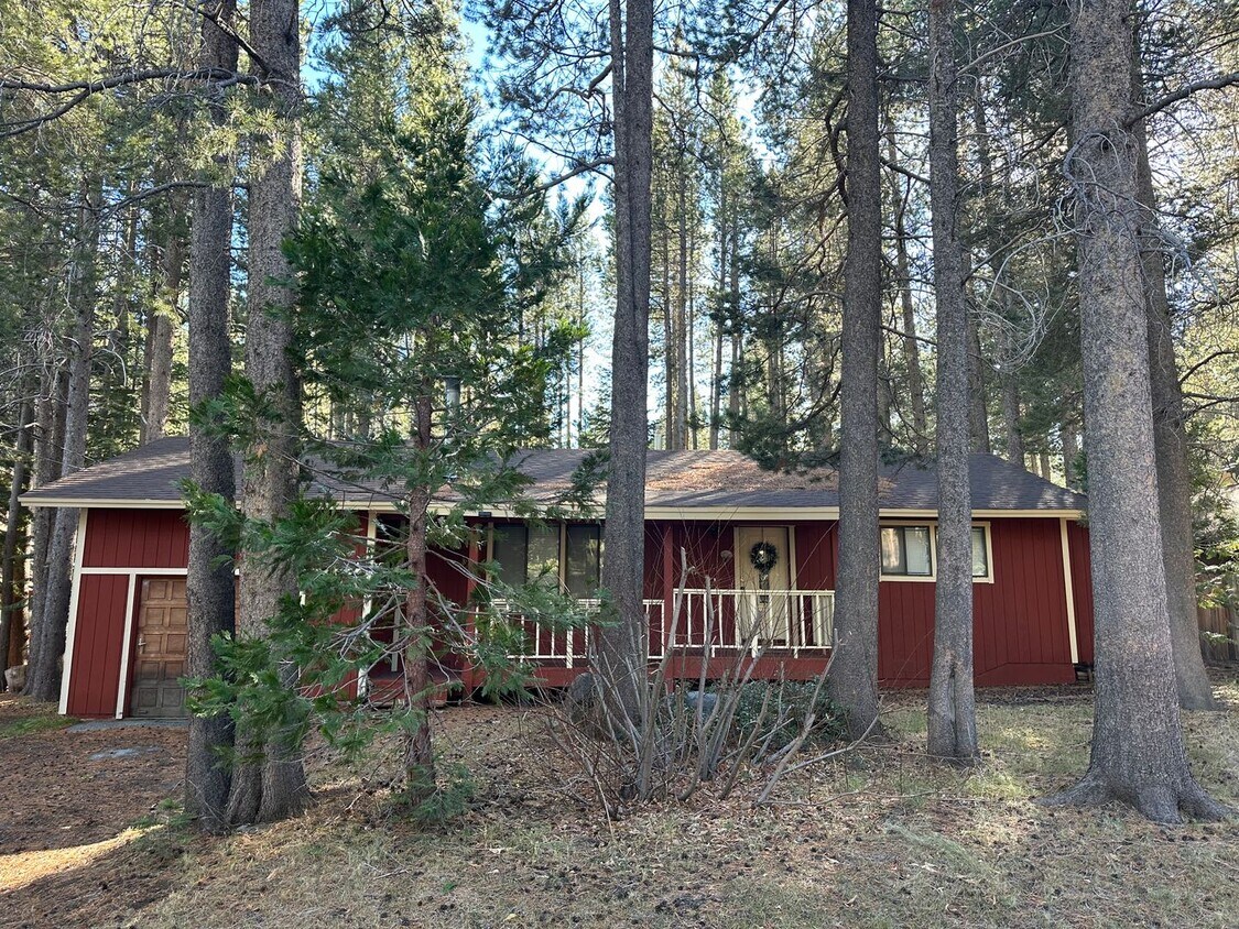Primary Photo - Hidden Gem in Peaceful Forest Setting- Pet...