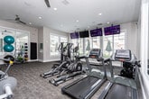 Located at 125 N Mill Rd in Vineyard, Utah, this single-floor fitness center offers a thoughtfully designed exercise space that balances functionality with a bright, welcoming atmosphere. The open layout is bathed in natural light streaming through large windows on multiple walls, creating an energizing environment ideal for daily workouts.

The main exercise area is generously proportioned and carpeted in a neutral, textured flooring that provides comfort underfoot. It is outfitted with a comprehensive selection of cardio equipment, including multiple treadmills, elliptical trainers, and stationary bikes. A cable strength-training machine and an adjustable workout bench round out the equipment offerings. Several wall-mounted flat-screen TVs are positioned throughout the space, ensuring entertainment is always in view during a workout session. A large mirror wall enhances the sense of depth and openness in the room.

Dual ceiling fans provide comfortable airflow throughout the space, while recessed lighting supplements the abundant natural light. Motivational framed artwork and a neatly organized rack of medicine balls and stability balls add character and variety to the fitness offerings.

A standout feature is the whimsical children's play structure—a multi-story playhouse with stone archways, a slide, and bright décor—offering a dedicated, imaginative space for younger guests. The overall ambiance is clean, modern, and inviting, making this fitness center a versatile community amenity.
