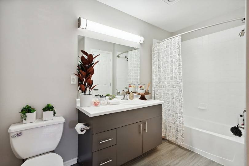 Arrive Stamford Apartments at 100 St Stamford, CT