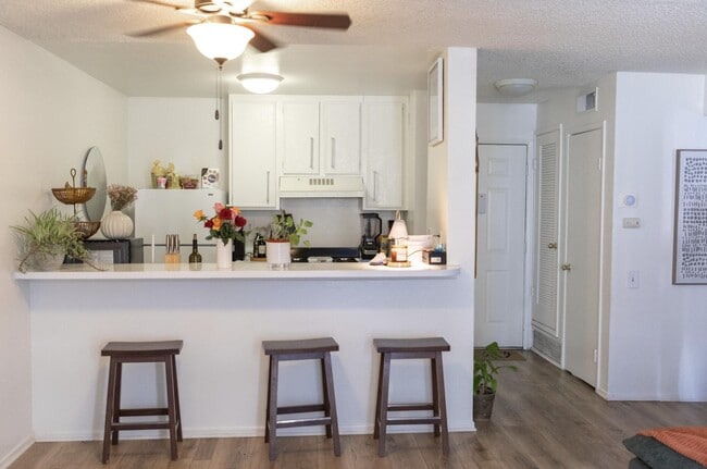 Building Photo - 1400 E Palm Canyon Dr