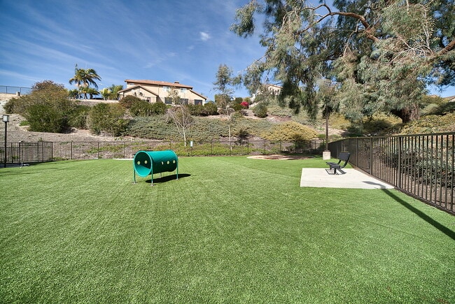 Building Photo - The Palms at Laguna Niguel