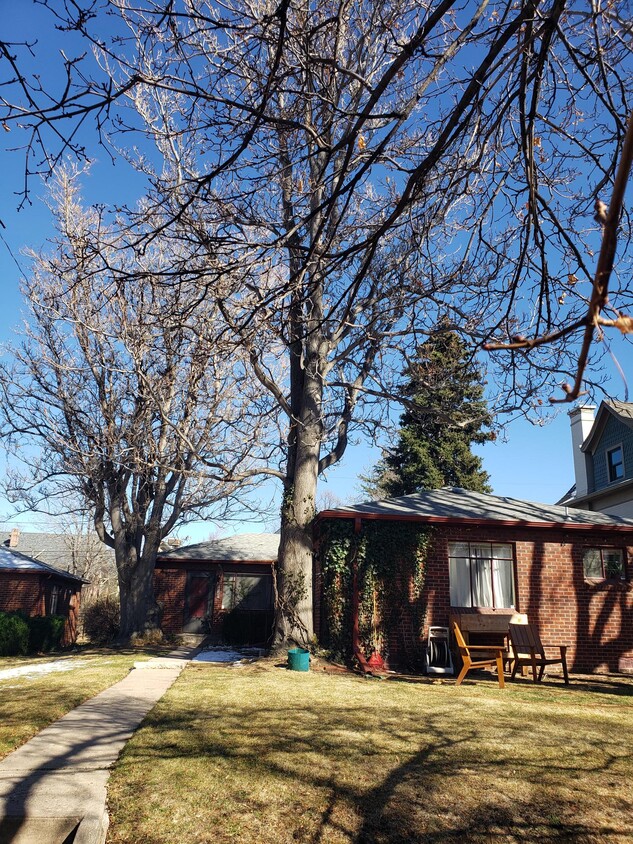 Photo - 1140 Steele St (Denver, CO)