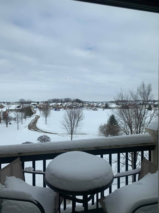 View from the patio deck - 5194 Sassafras Dr