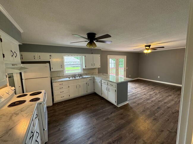Building Photo - 4 BD 2.5 BA Modern Home in Martin!