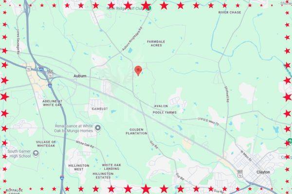 Foto del edificio - 196 Aster Bloom Ln