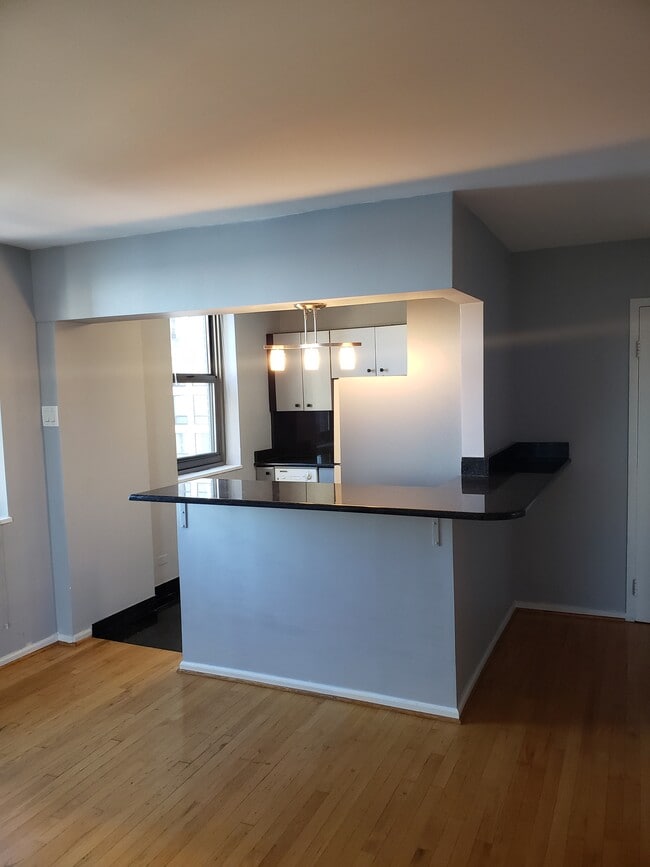 Kitchen - 253 E Delaware Pl