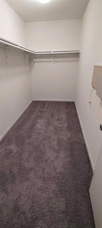 Building Photo - 926 Belshear Ct