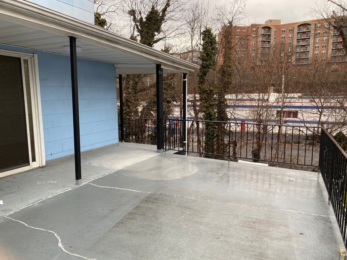 Terrace off of Kitchen - 50 Rogers St