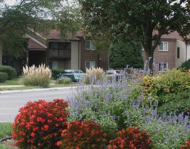 Wesleyan Courts Apartments Rentals Virginia Beach, VA