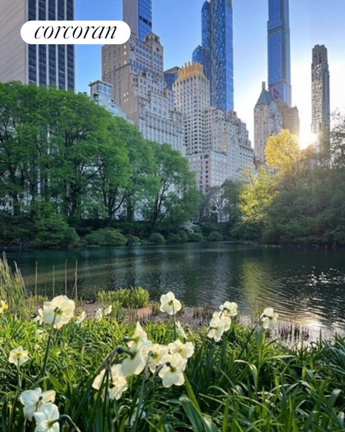 Foto principal - 117 W 58th St