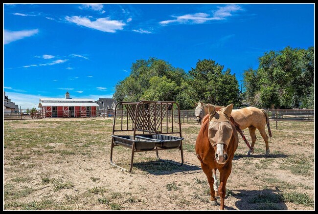 Foto del edificio - 3 Acre Horse Ranch & Home Rental SE Boise ...