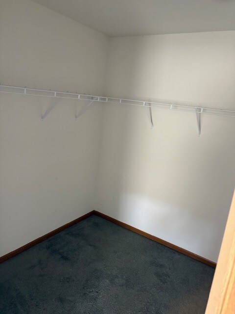 Foto del edificio - 209 River Laurel Dr