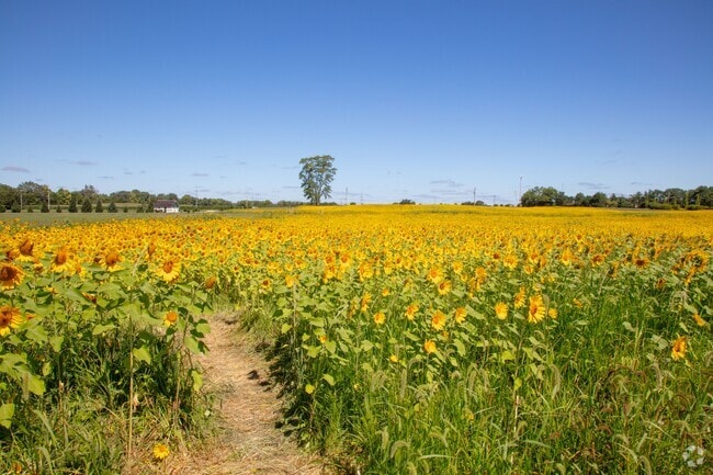 When in Shelbyville, enjoy the beautiful nature around Blue River Memorial Park.