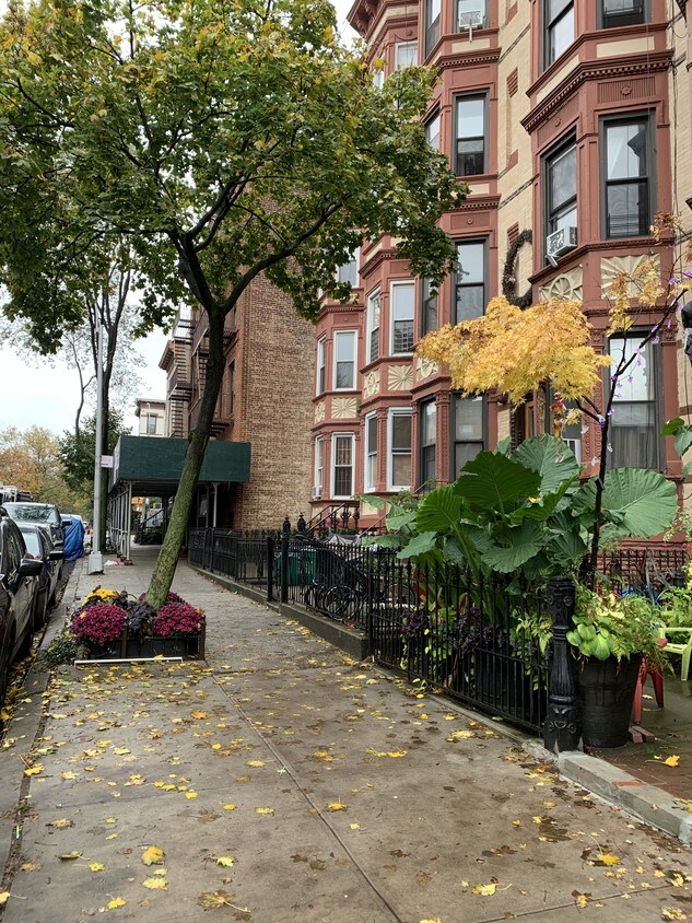 Primary Photo - 554 11th St