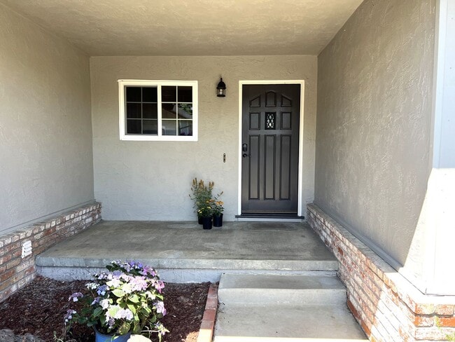 Building Photo - Terra Linda Home