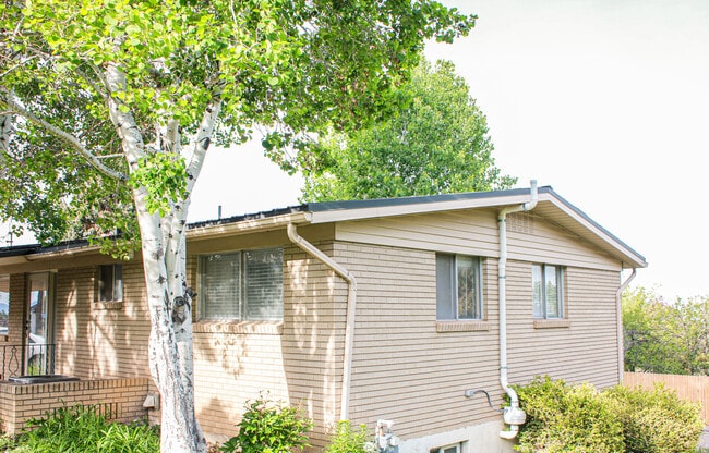Building Photo - 697 N 1020 E