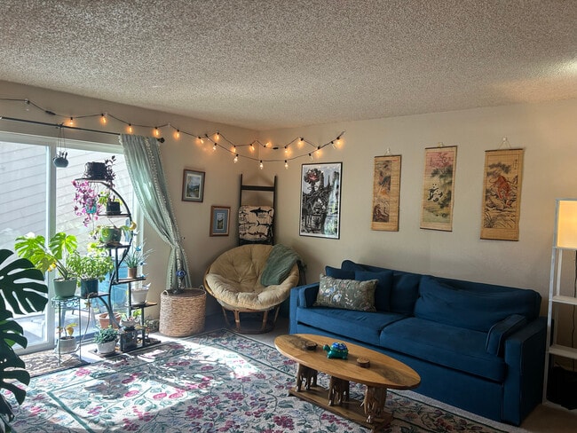 Living Room - 1900 Florida Rd