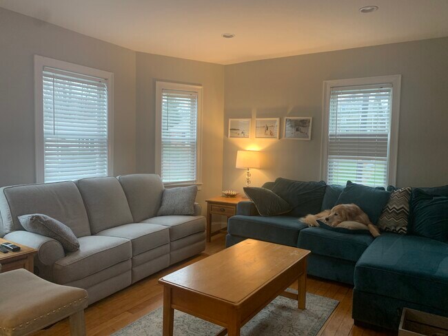 Foto del edificio - 17 Cyrus St