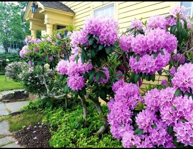 Foto del edificio - 18 Town House Rd