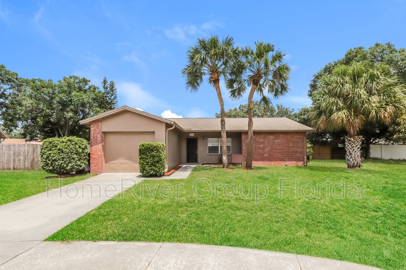 1002 Pinehaven Ct, Brandon, FL 33511 House Rental in Brandon, FL