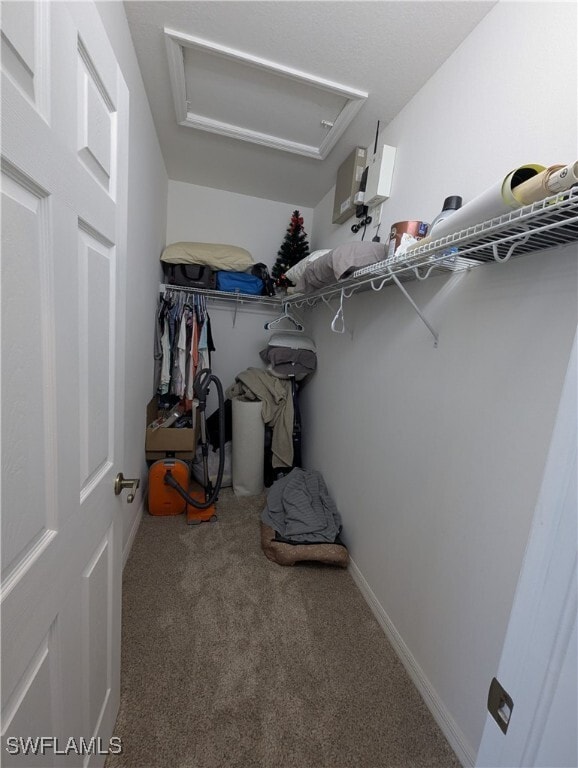 Building Photo - 4000 Cherrybrook Loop