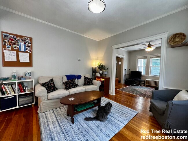 Foto del edificio - 24 Adair Rd