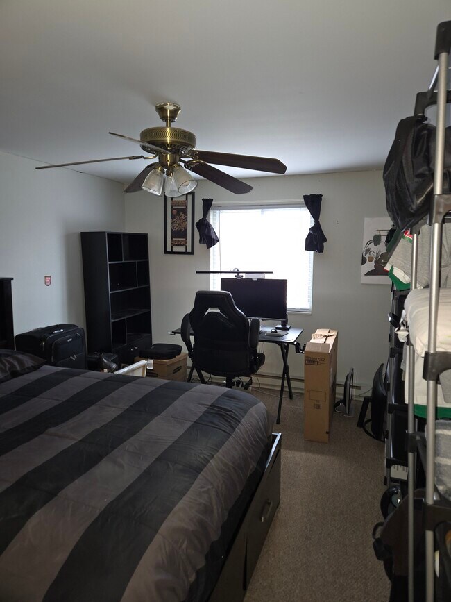 Dormitorio - 56 Edgeworth St