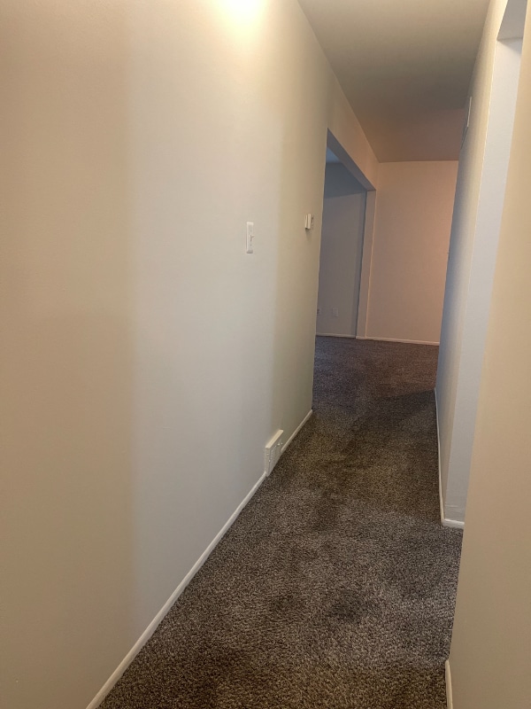 271 E Oakridge Ave Unit 202, Ferndale, MI 48220 Room for Rent in