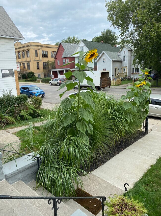Spring - 549 S Park Ave