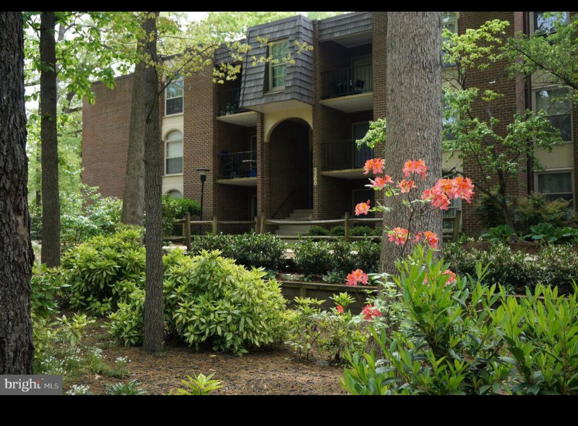 3366 Woodburn Rd Unit 13, Annandale, VA 22003 Condo for Rent in