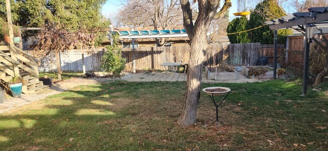 Backyard - 2952 S Colorado Ave