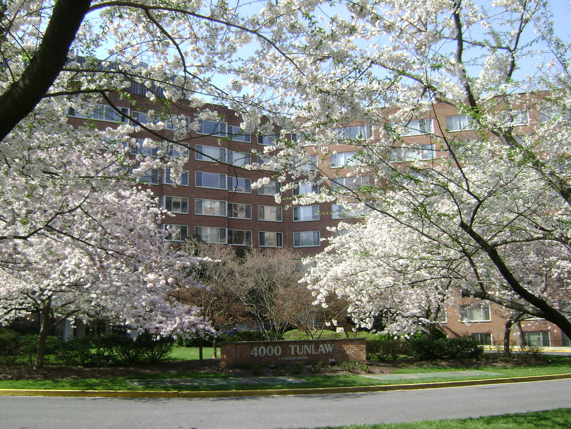 Primary Photo - 4000 Tunlaw Rd NW