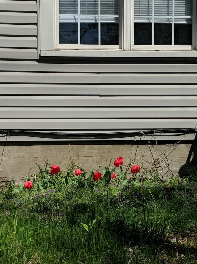 Building Photo - 1031 Euclid