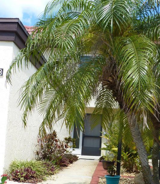 Building Photo - 8718 Bay Ct