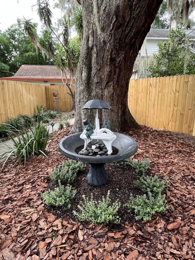 Fuente de rana - 233 Emory Pl
