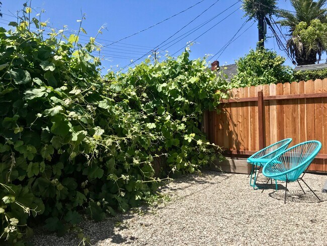 Private west-facing fenced backyard for lovely sunsets - 1237 N Commonwealth Ave
