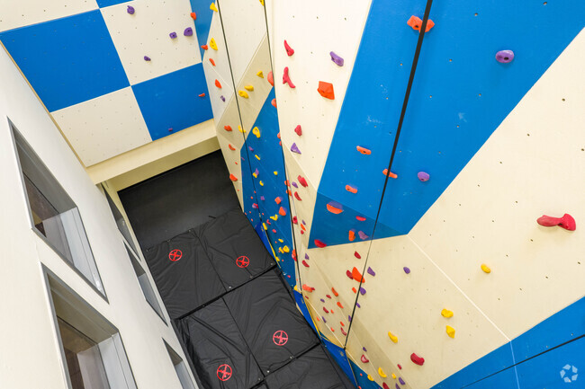 Escalada en pared de roca - Middleton Center