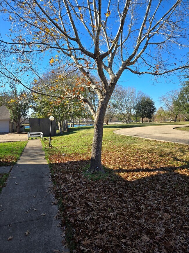 Building Photo - 3828 Shire Valley Dr