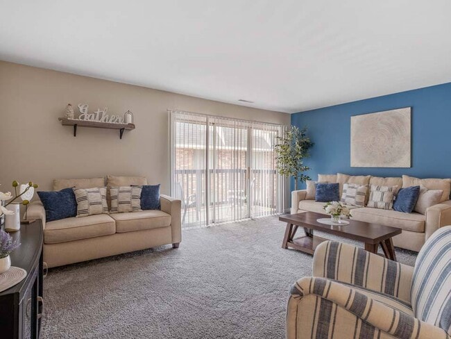 Cozy, Plush Carpeting - Tiffany Woods