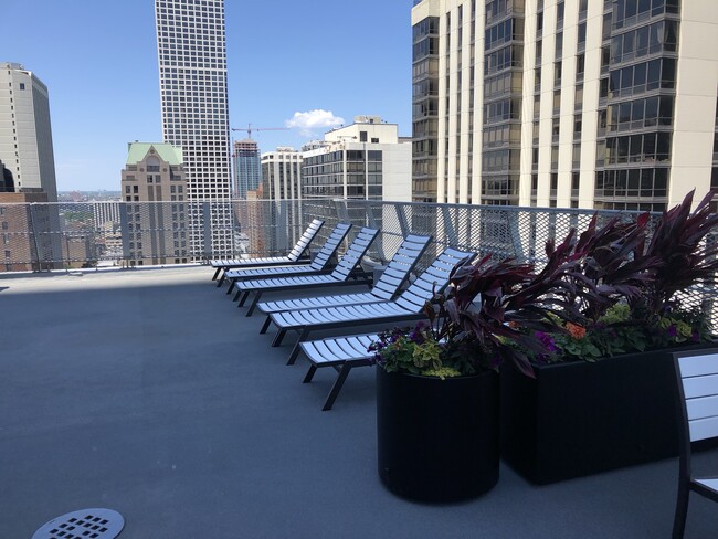 Shared rooftop deck - 1000 N Lake Shore Dr