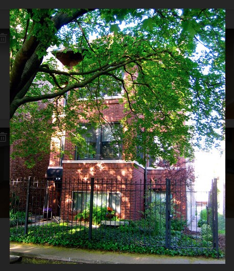 Primary Photo - 6639 N Greenview Ave