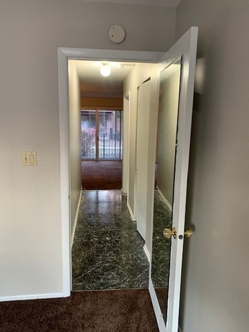 Building Photo - 1317 Turtle Creek Cir