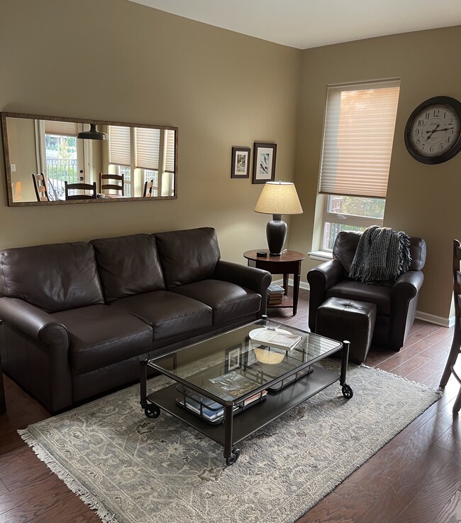 Great Room with Leather Sofa Bed - 323 W Jefferson St