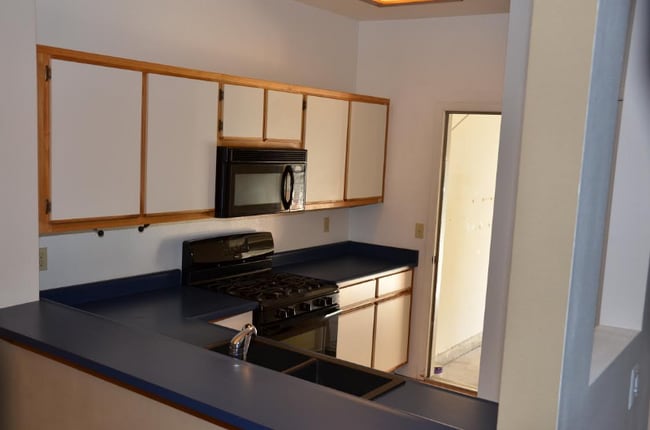 Building Photo - 4062 Snowshoe Ln