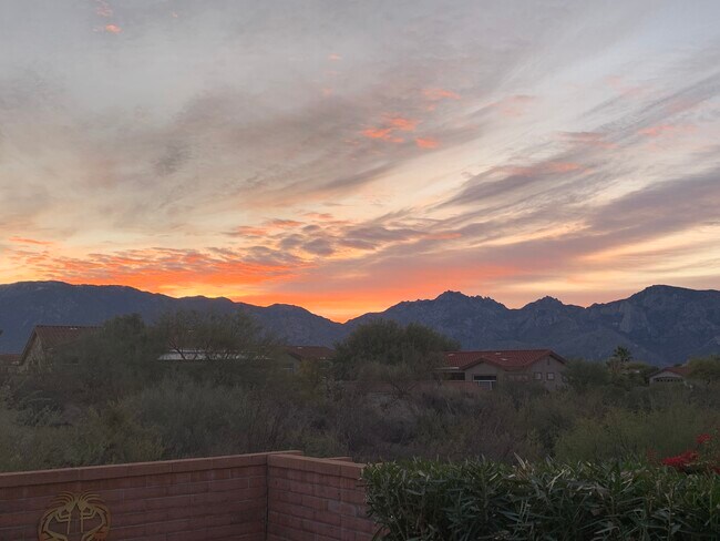 Foto del edificio - 14180 N Willow Bend Dr