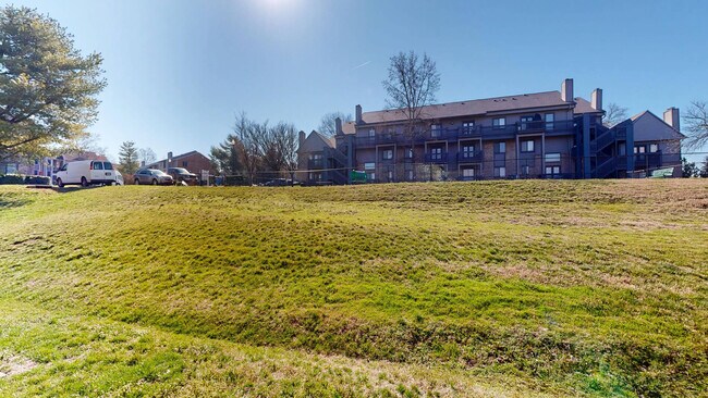 Interior Photo - Hickory Run