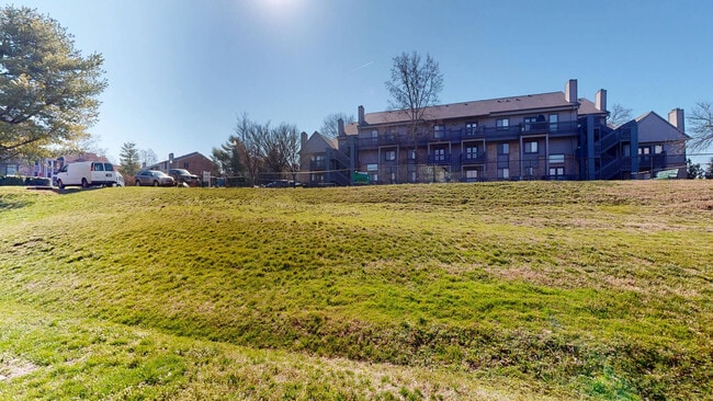 Interior Photo - Hickory Run