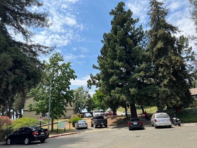 Foto del edificio - Beautifully remodeled 1 bedroom & 1 bath unit near Six Flags in Vallejo