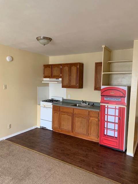 Kitchenette with refrigerator - 2040 S Ridgeley Dr