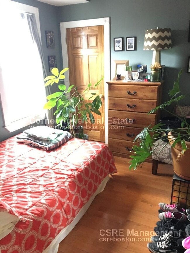 Large 2 bed in Southie - Large 2 bed in Southie Apartment